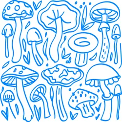 Shroom
