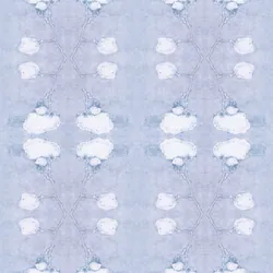 dgcbats1txr8g11