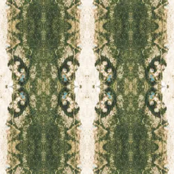 dp1q5f22iaciepx