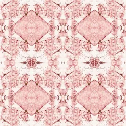 dxrx30na9im4fr6