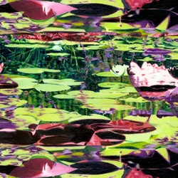 Nymphéas 06