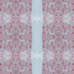 ispl0b2u1ytcqmn