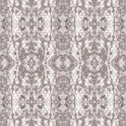 iw7c55jg6x4ca41