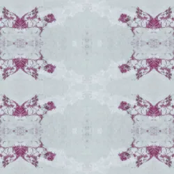 qh2645iuvtmup7a