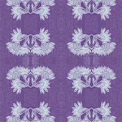 tqoinej6ldn1fzu