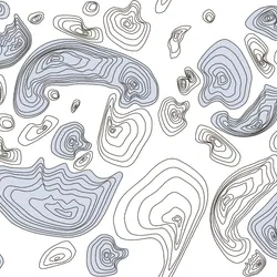 Bubble 2