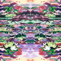 Nymphéas 07