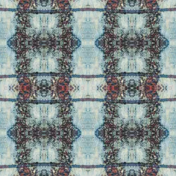 xdwjl3vvvbljr8t