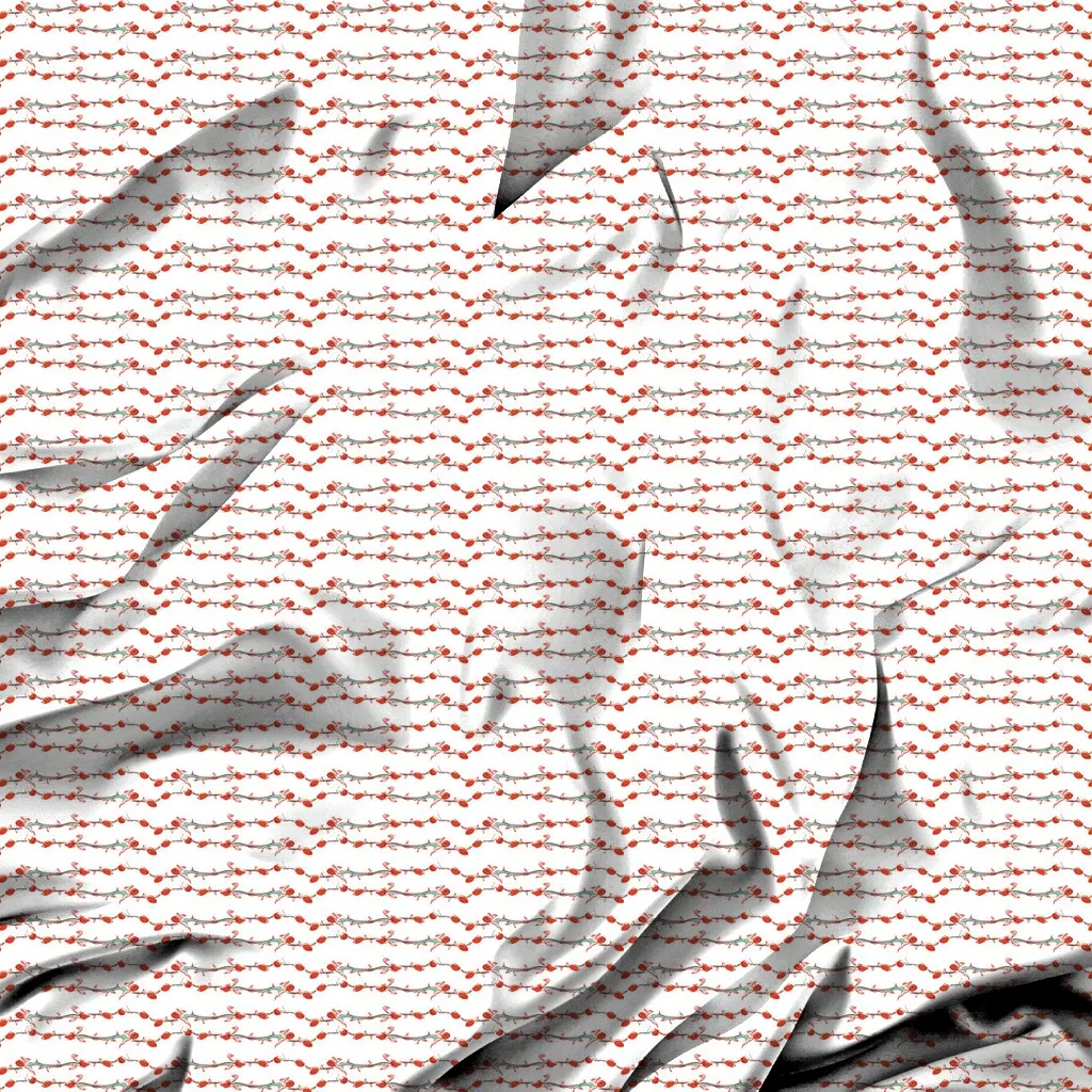 sheet